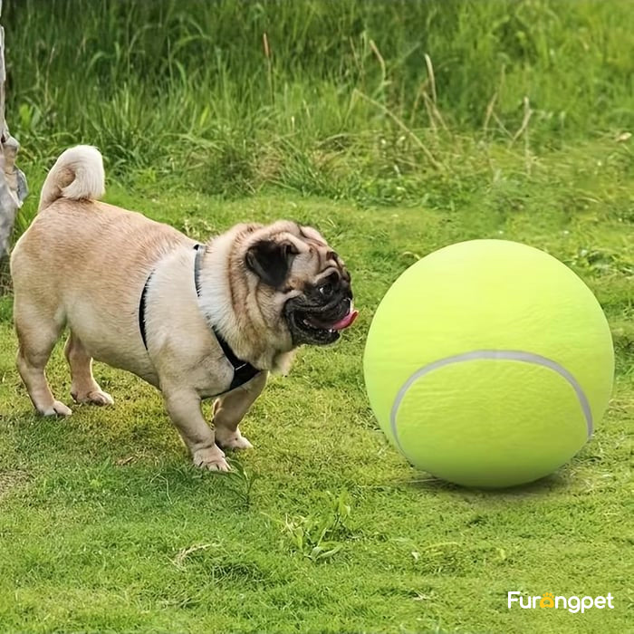 Dog Tennis Ball - Durable outdoor toys