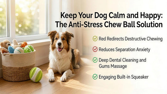 🐶 Keep Your Dog Calm and Happy: The Anti-Stress Chew Ball Solution