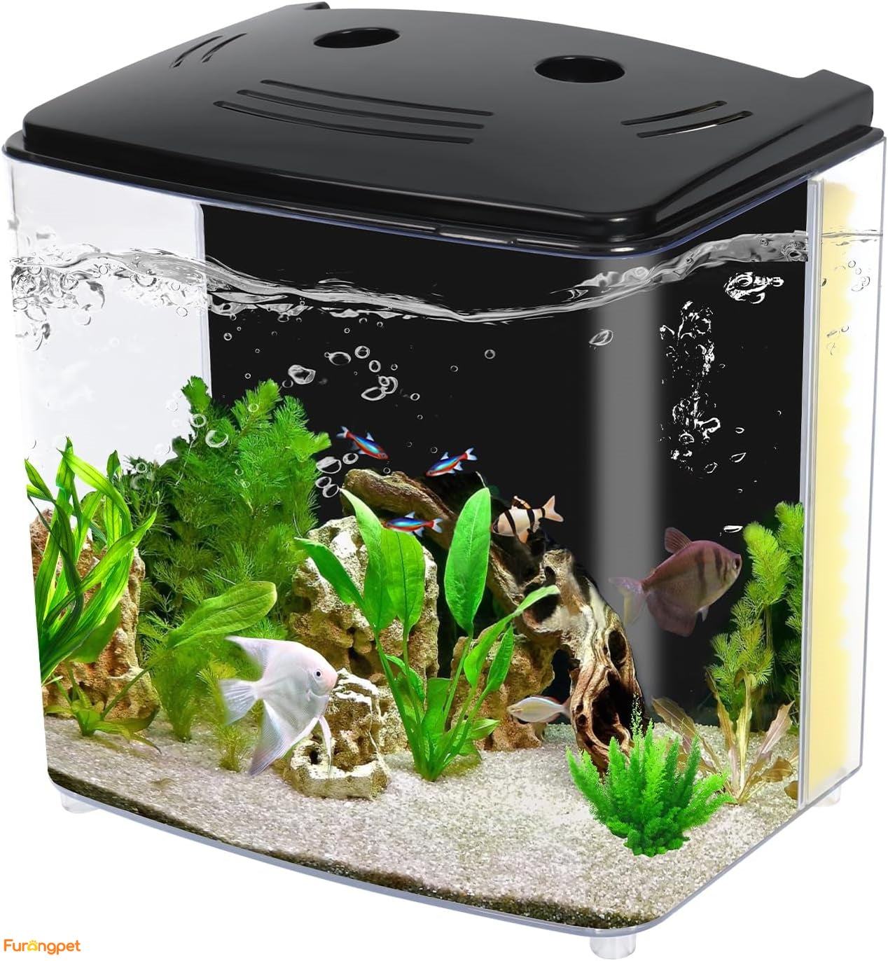 LED MiniBow Aquarium Tank Kit