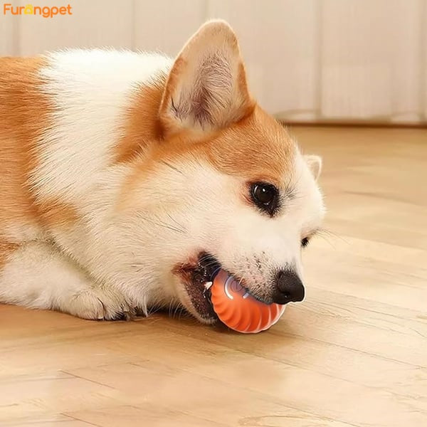 Automatic smart teasing dog ball that can't be bitten🐶