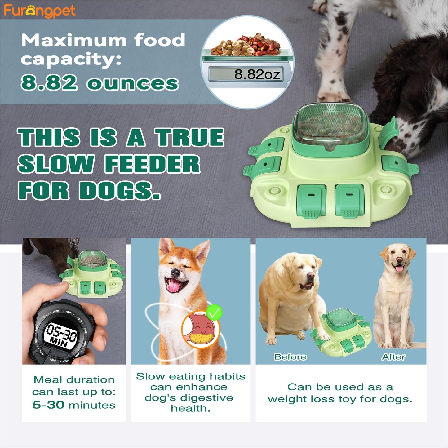 Dog Puzzle Push Feeder