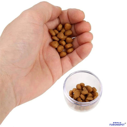 Cat Treat Catapult Launcher