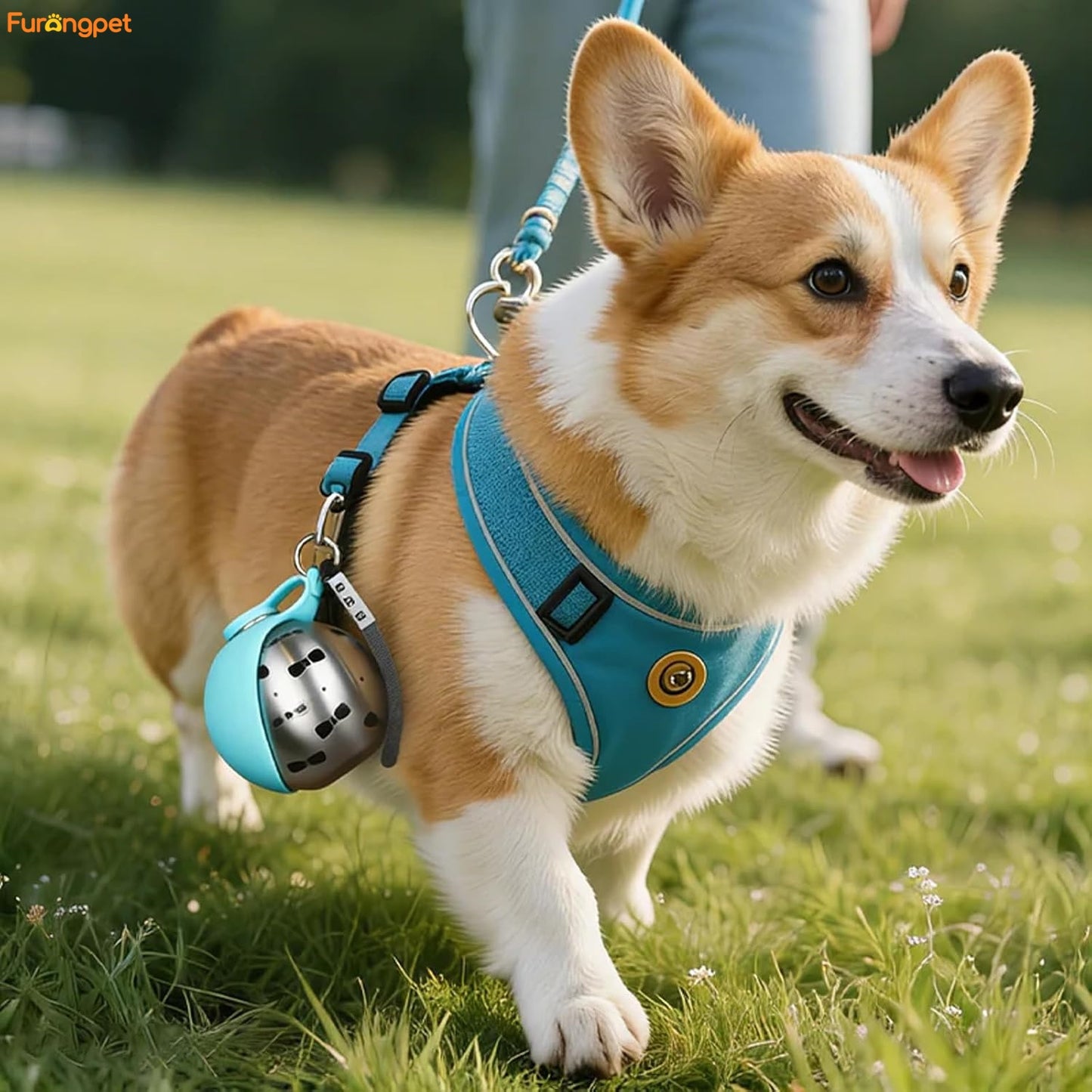 Furongpet™ Portable Dog Water Bottle for Small Dogs