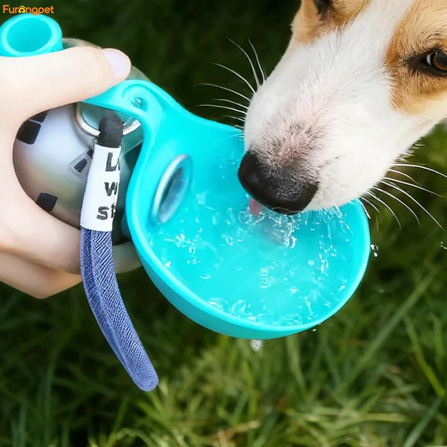 Furongpet™ Portable Dog Water Bottle for Small Dogs