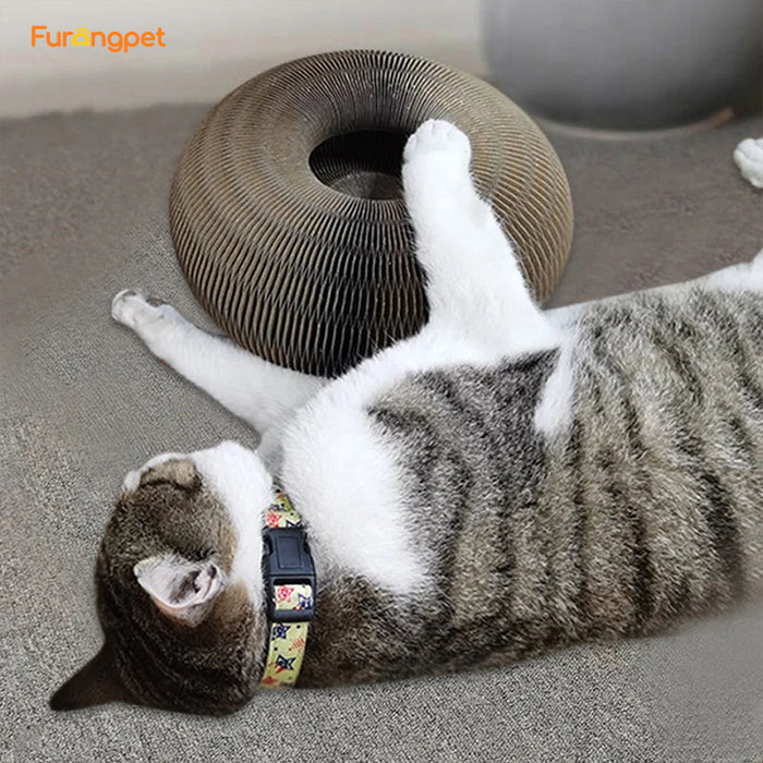 Magic Foldable Cat Scratching Board With Bell Accordion