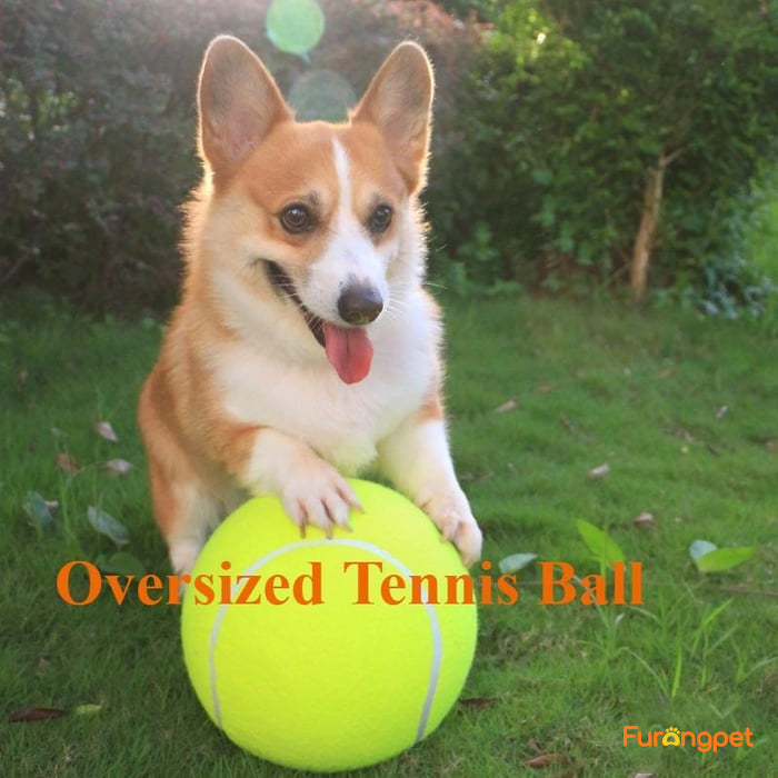 Dog Tennis Ball - Durable outdoor toys
