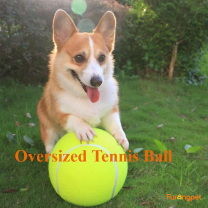Dog Tennis Ball - Durable outdoor toys