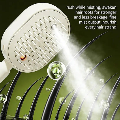 ✨ Electric Spray Air Cushion Massage Hair Comb