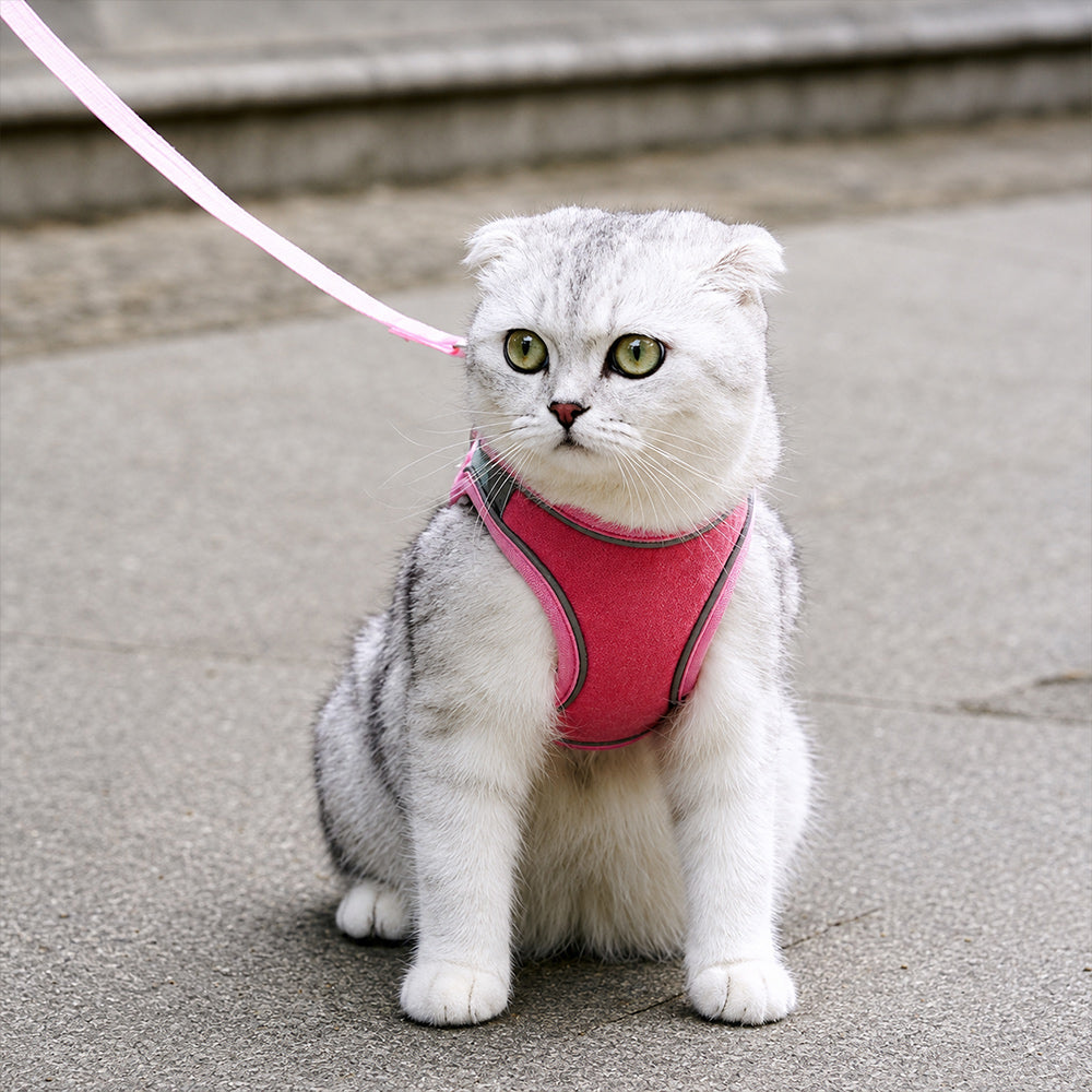 🐱 Escape-Proof Reflective Cat Harness & Leash Set