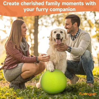 Dog Tennis Ball - Durable outdoor toys