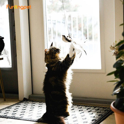Furongpet™ Interactive Bird Simulation Cat Toy Set