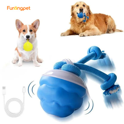 🐕Interactive Dog Toys with Motion Activated🐶