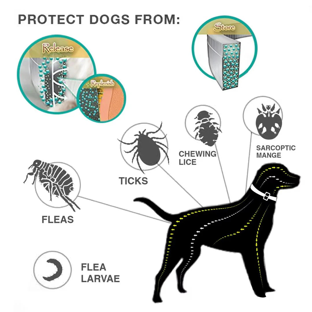 4 Pack Natural Flea Collar Safe Effective Tick Protection Dogs