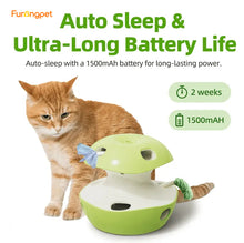 Interactive Apple Cat Toys