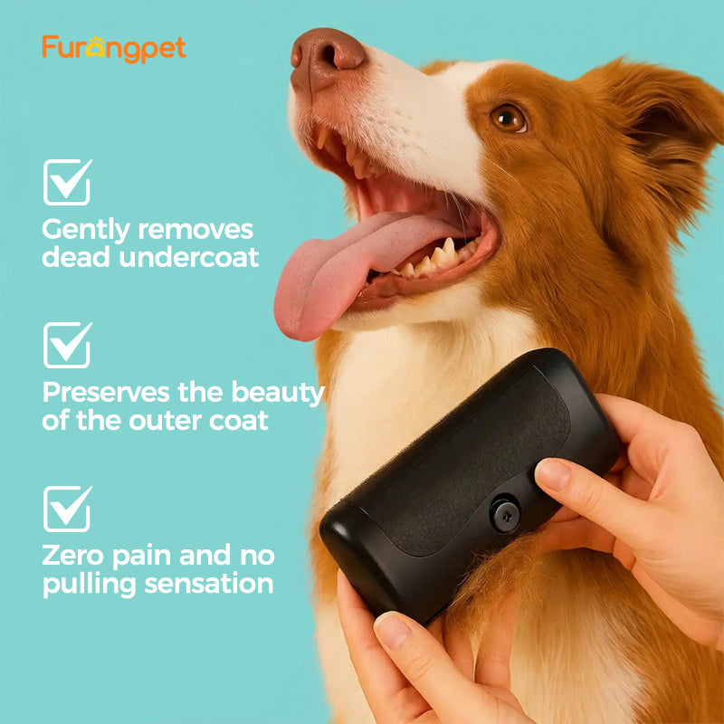 Pet Deshedding Brush – Remove Loose Fur in Minutes