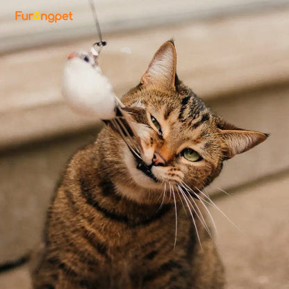 Furongpet™ Interactive Bird Simulation Cat Toy Set