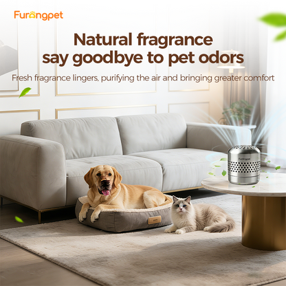 Long Lasting 24 Hour Pet Odor Control Safe Non Toxic Formula