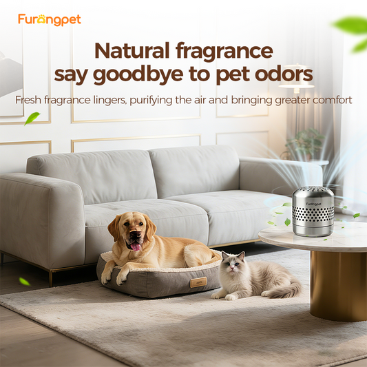 Long Lasting 24 Hour Pet Odor Control Safe Non Toxic Formula