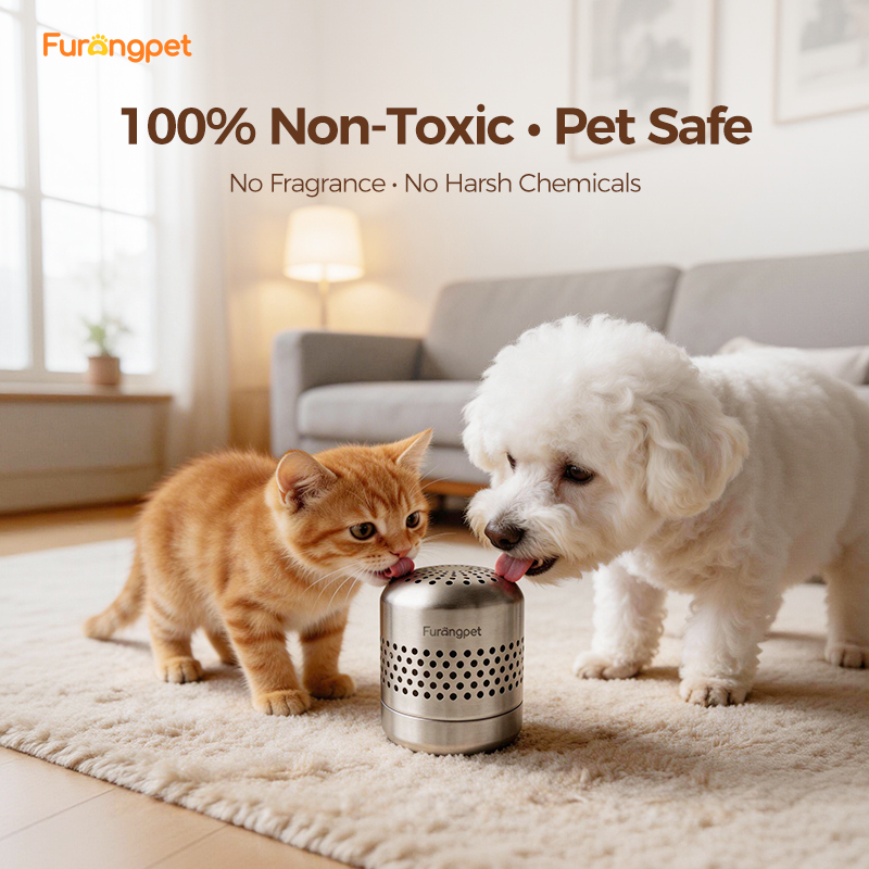 Long Lasting 24 Hour Pet Odor Control Safe Non Toxic Formula