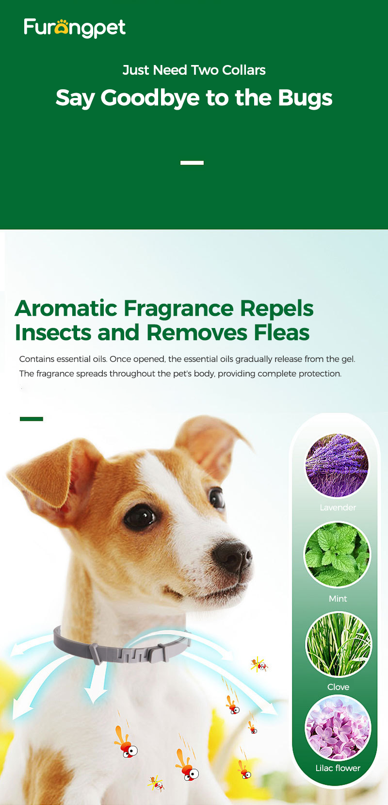 4 Pack Natural Flea Collar Safe Effective Tick Protection Dogs