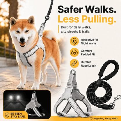 Night Safety Reflective Dog Harness & Leash Walking Kit