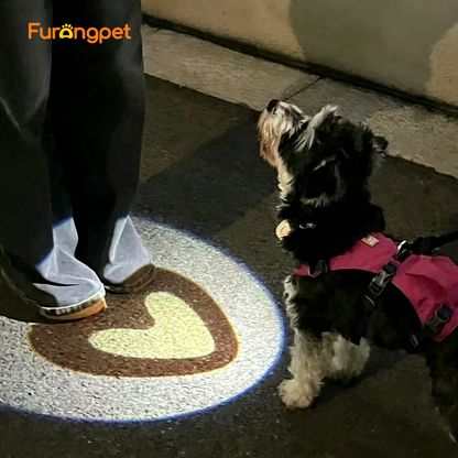 Furongpet™ Heart Projection LED Dog Collar Light for Night Safety