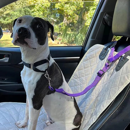 🔥2-in-1 Dog Car Seat Belt & Walking Leash