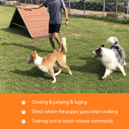 Furongpet™ Dog Flirt Pole for Chase & Tug Play