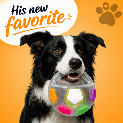 Furongpet™ Champions Chew Ball-Dog Ball Anti-Stress