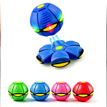 Interactive Dog Flying Saucer Outdoor Toy