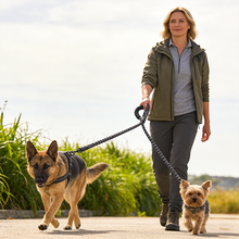 Dual Dog Leash – Shock‑Absorbing & No‑Tangle