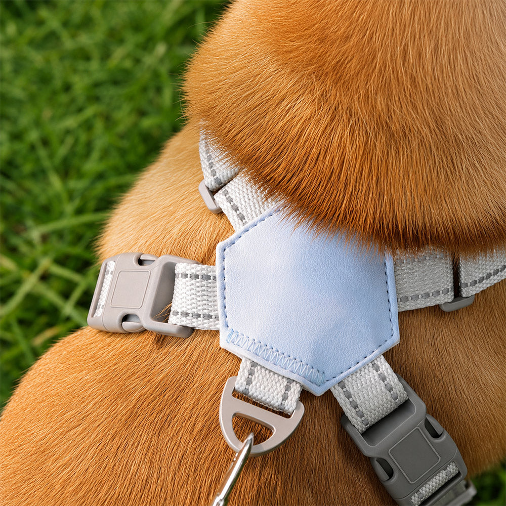 X-Frame Anti-Pull Dog Harness Complete Set Including Leash