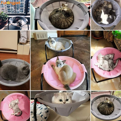 🔥🔥Floor Cat Hammock-With Stand