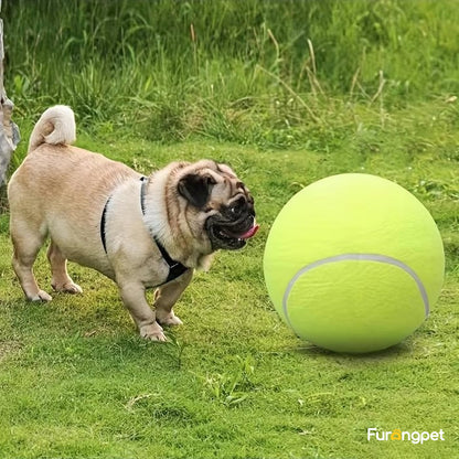 Dog Tennis Ball - Durable outdoor toys