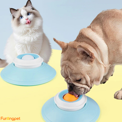 Interactive Slow Feeder for Cats and Dogs