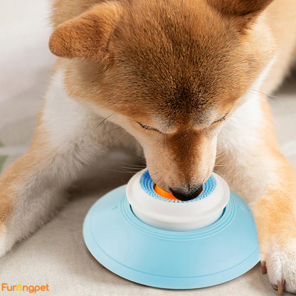 Interactive Slow Feeder for Cats and Dogs