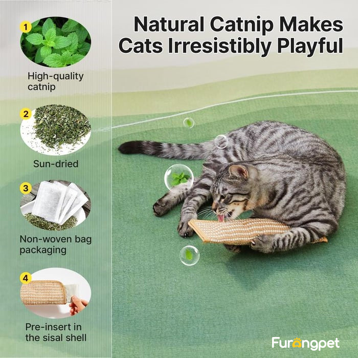 🐱Interactive Catnip Chew Toy