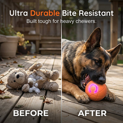 Auto-Bouncing Smart Pet Ball w/ Remote – Chew-Resist E-TPU | USB-C Recharge