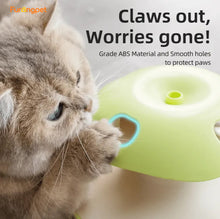 Interactive Apple Cat Toys