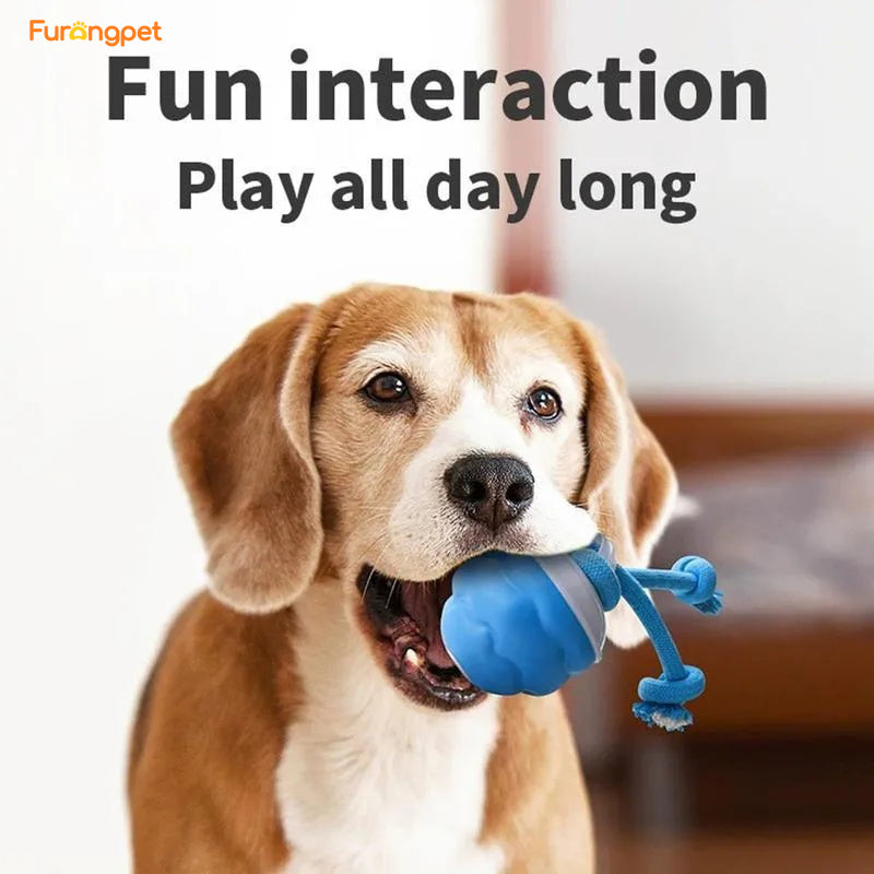 🐕Interactive Dog Toys with Motion Activated🐶