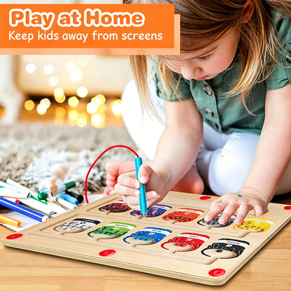 Magnetic Color & Number Counting Maze