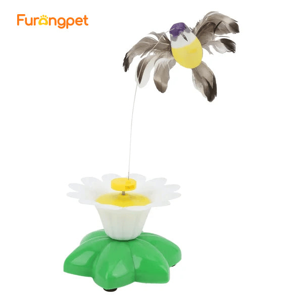 Electric bird teasing cat toy