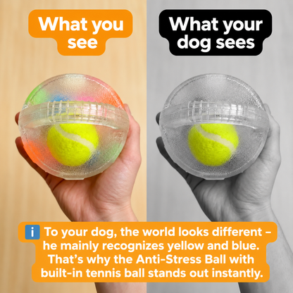 Furongpet™ Champions Chew Ball-Dog Ball Anti-Stress