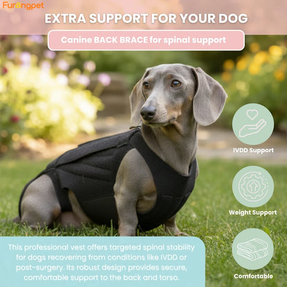 Furongpet™Dog Back Brace for IVDD, Full Support Spinal Brace