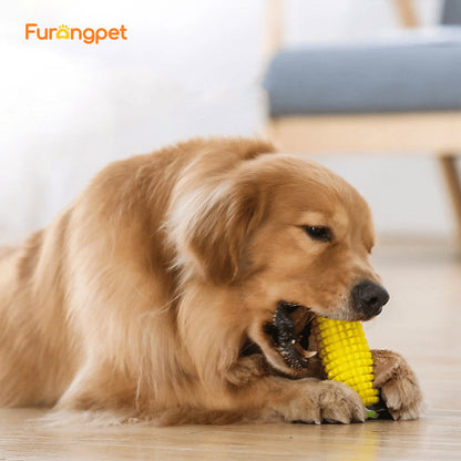 Durable TPR Corn Dog Chew Toy🌽
