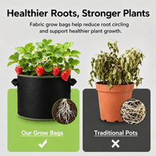 5-Pack Heavy-Duty 5-Gallon Grow Bags