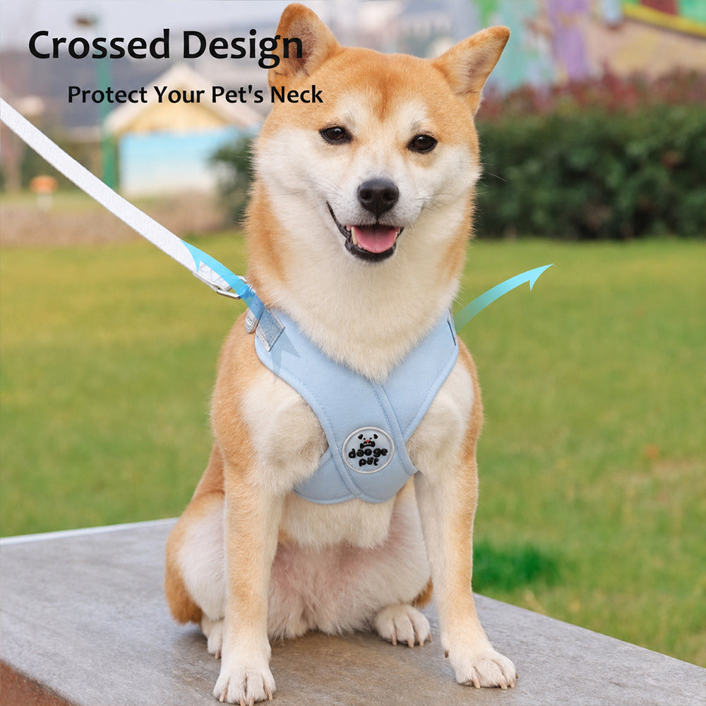 X-Frame Anti-Pull Dog Harness Complete Set Including Leash