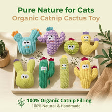 5PC Handmade Soft Cactus Kitten Chew Toys with Natural Catnip