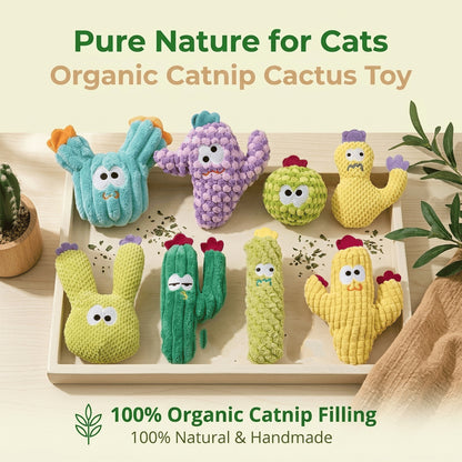 5PC Handmade Soft Cactus Kitten Chew Toys with Natural Catnip