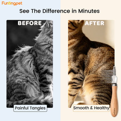 Deep Detangling Dematting Brush for Thick Curly Dog Coats